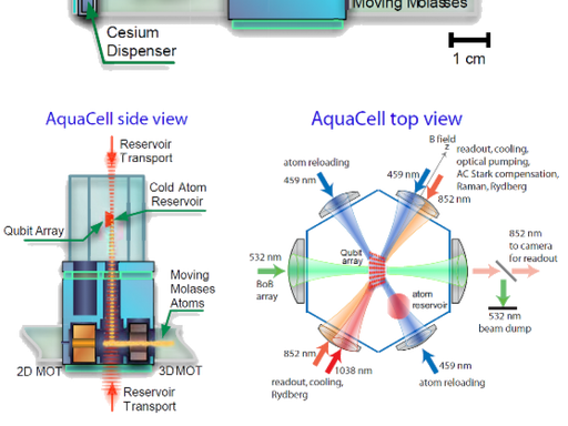 真空腔MOT+光镊阵列结构
