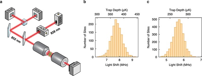 高数值孔径光束路径和光镊特性